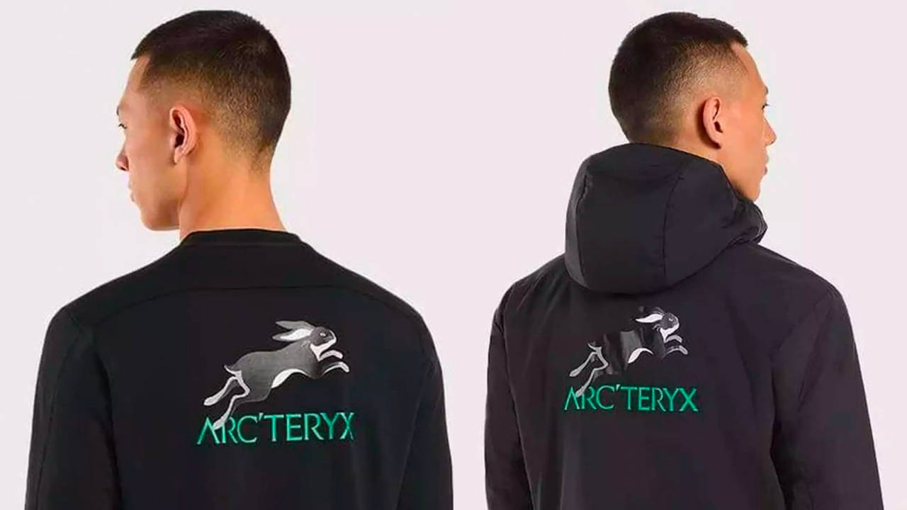 Alpha SV CNY 2023 Year of the Rabbit edition. no back logo just one on the  chest and dead bird on the left arm : r/arcteryx