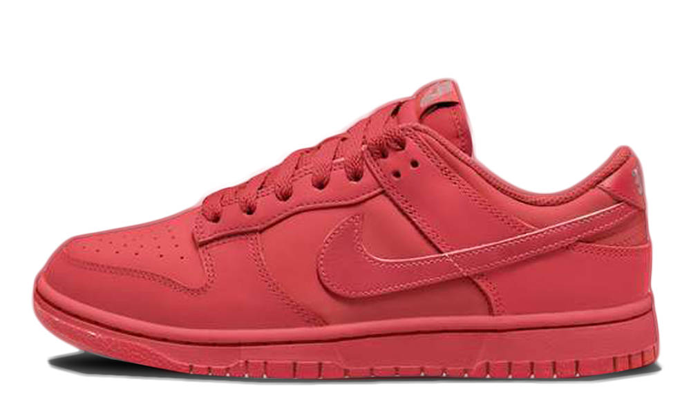 ネイビーシー seiiki DUNK LOW TRACK RED 28 | www.tegdarco.com