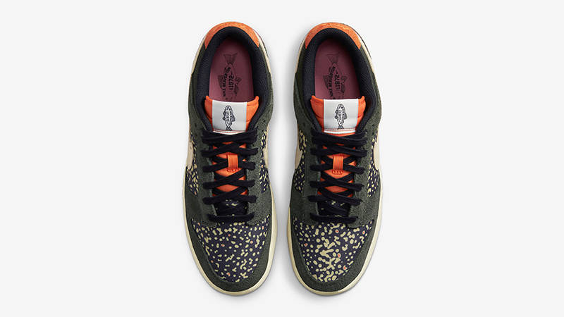 Nike Dunk Low Rainbow Trout FN7523-300 Top