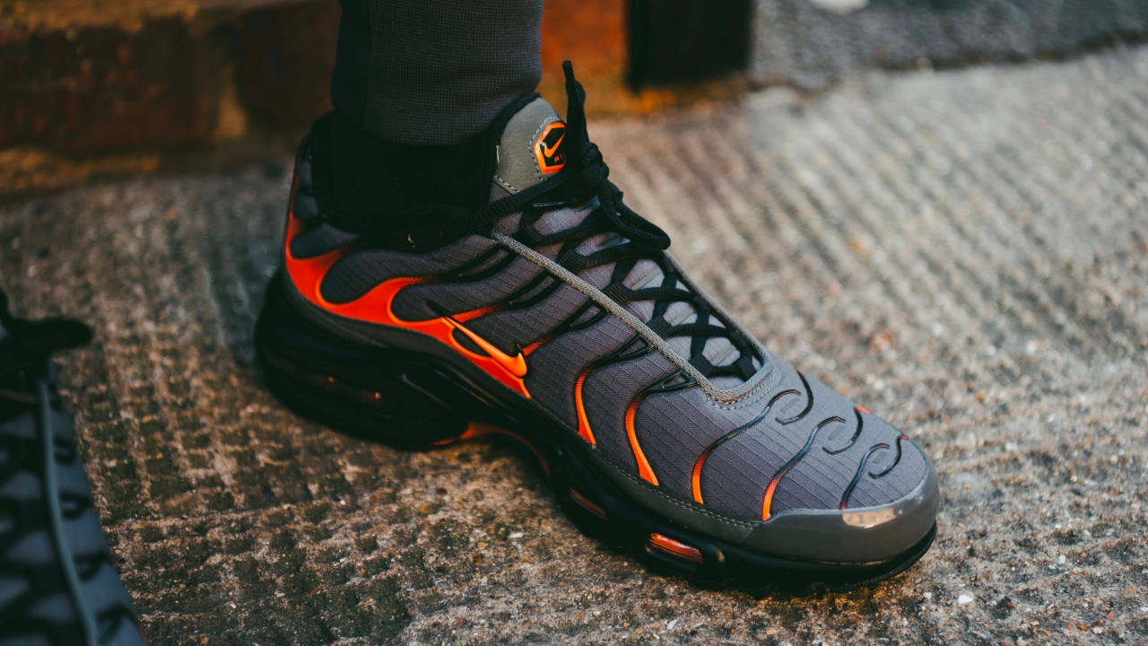 air max plus lucky charm