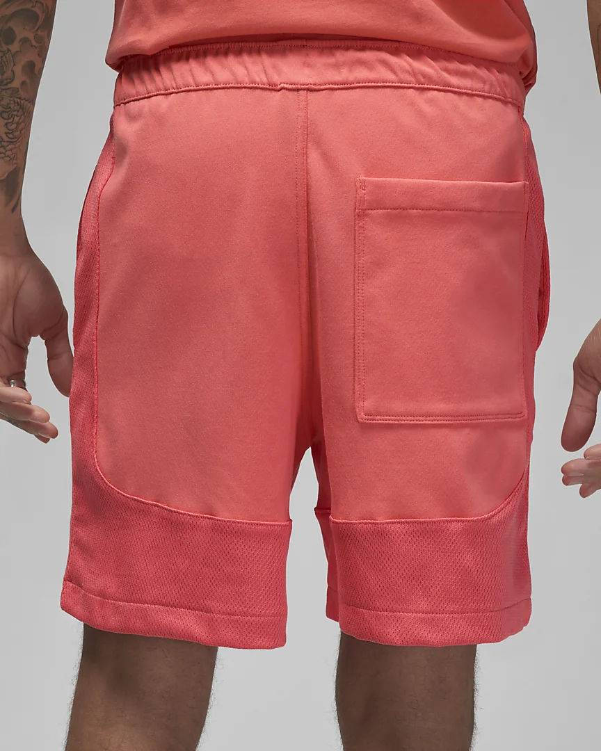 Air Jordan Men's Flight Artist Series Mesh Shorts