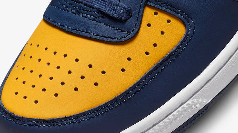 Nike Terminator Low Michigan FJ4206-700 Detail
