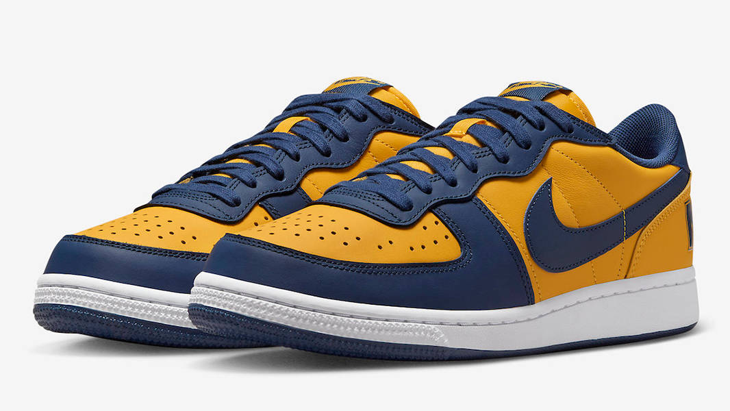 Nike Terminator Low Michigan FJ4206-700 Side