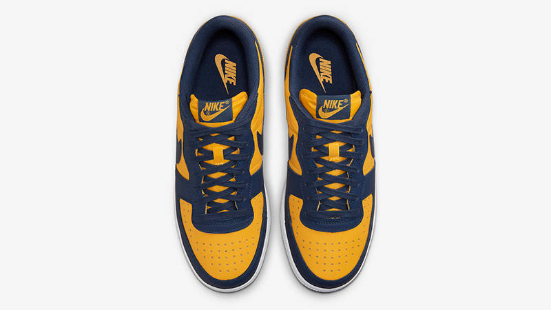 Nike Terminator Low Michigan | Where To Buy | FJ4206-700 | The