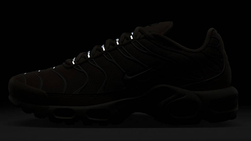 Nike TN Air Max Plus Sandrift Oxford Pink DZ3671-102 in dark