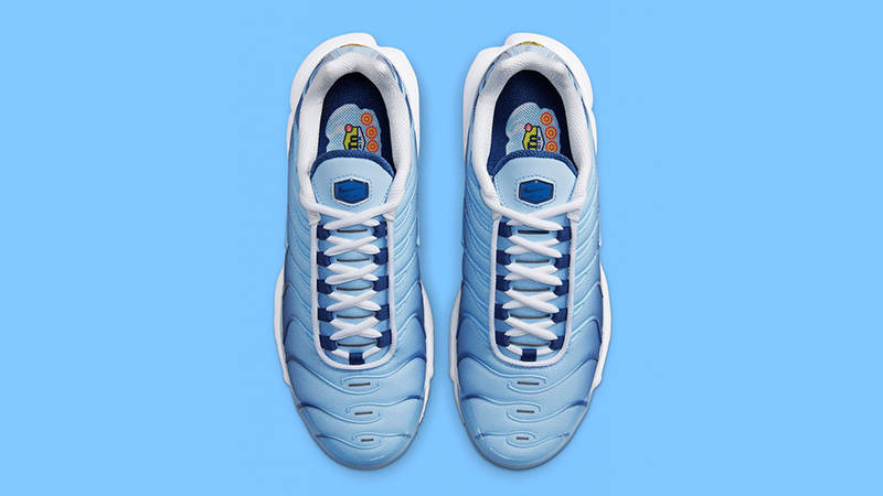 tn university blue footlocker