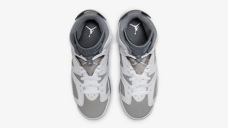 Jordan 2024 6s grey