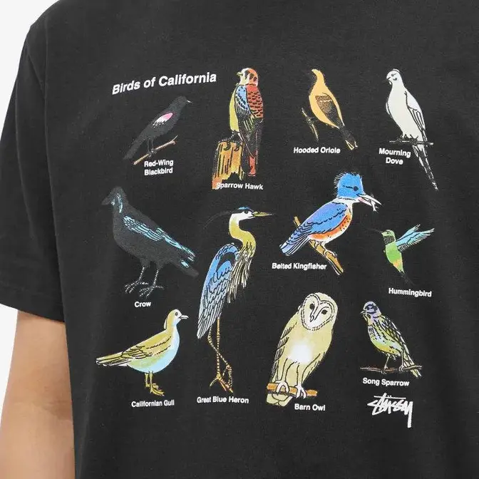 Stüssy California Birds T-Shirt | Where To Buy | 1904897-blac 