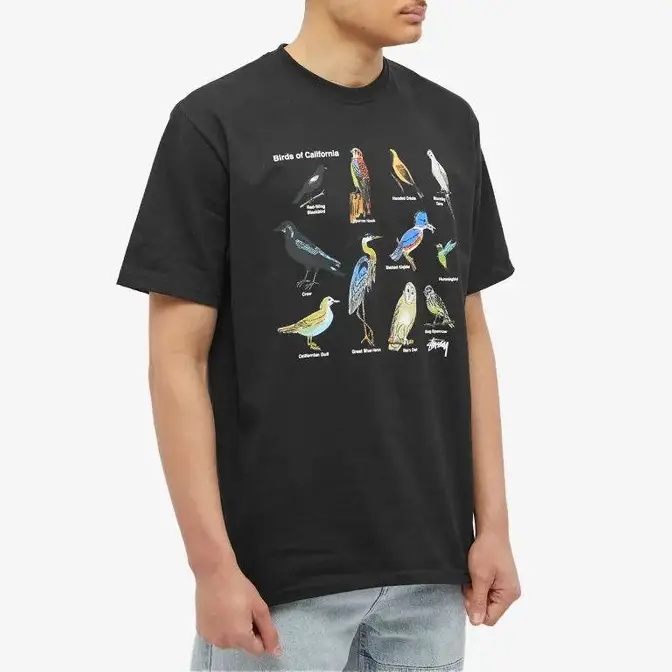 Stüssy California Birds T-Shirt | Where To Buy | 1904897-blac