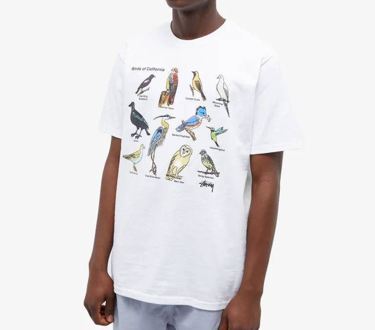 Stussy CALIFORNIA BIRDS TEE ステューシー 大阪お買い得 tenondepora