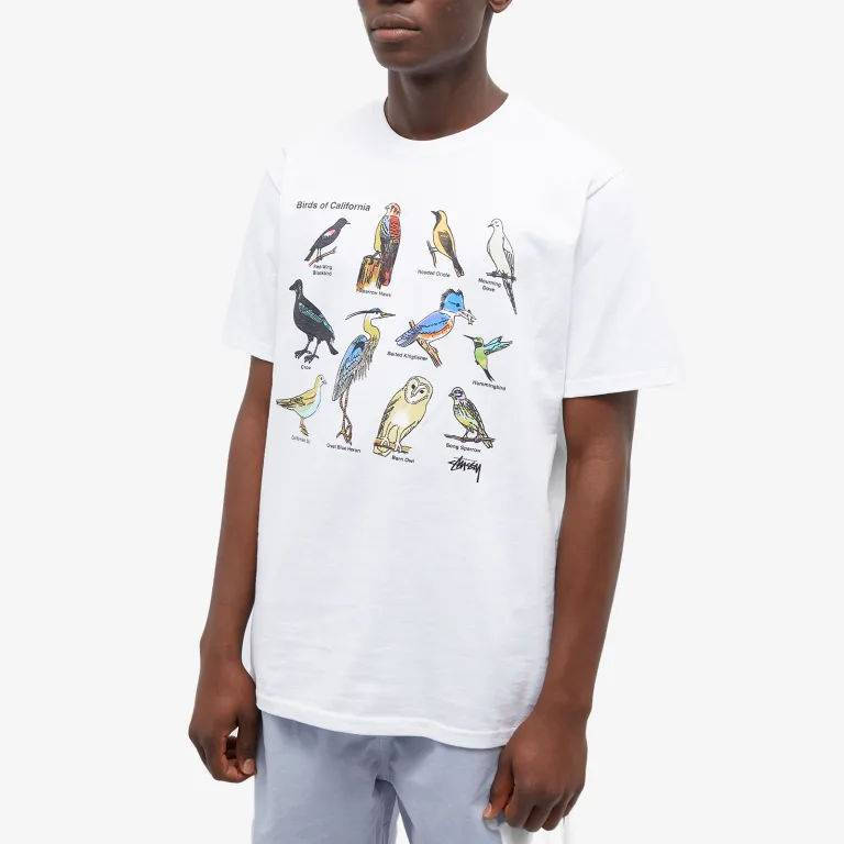 Stüssy California Birds T-Shirt | Where To Buy | 1904897-blac