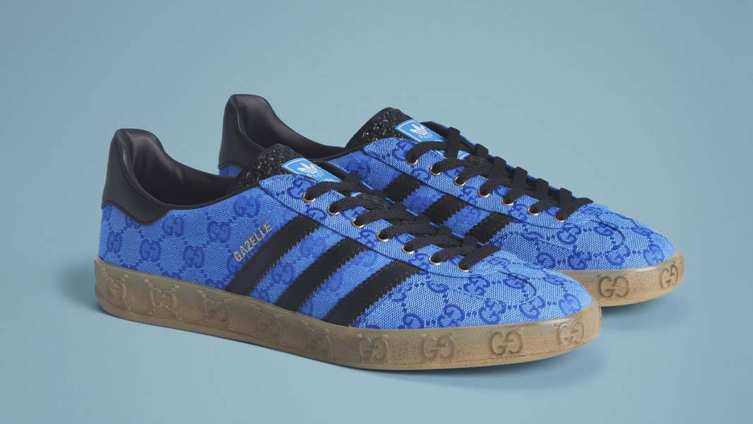 Gucci x adidas Gazelle Blue Black Front