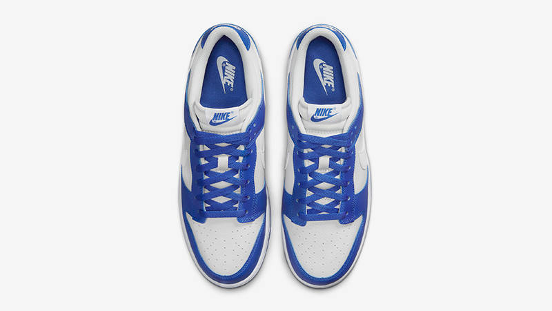 Nike Dunk Low Blue White FN3416-001 Top