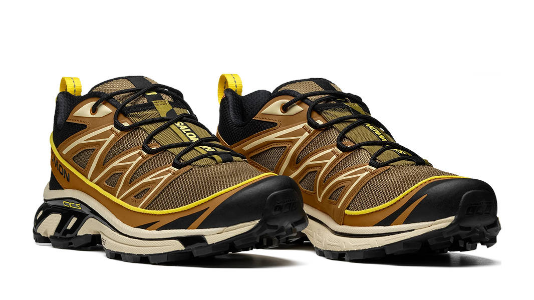 Salomon XT-6 Expanse Cathay Spice Lizard | Where To Buy