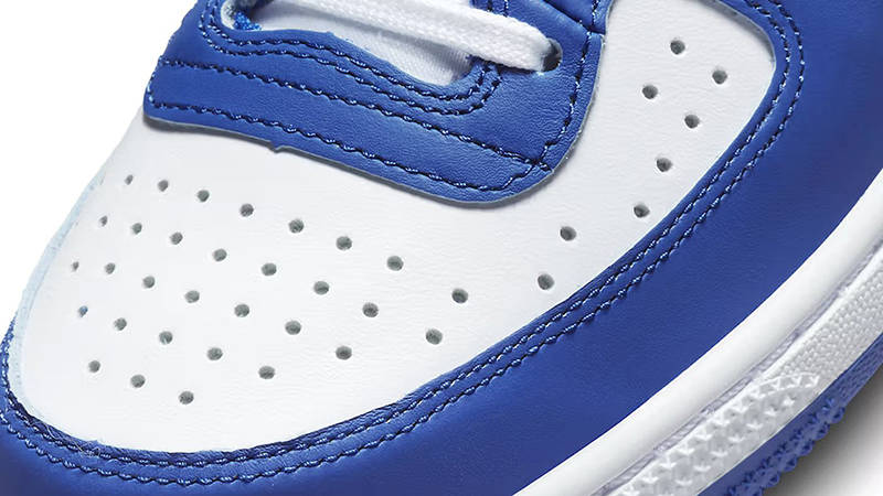 Nike Terminator High Game Royal FN6836-100 Detail