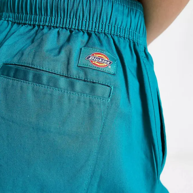 Dickies vale shorts in teal CO ORD back logo