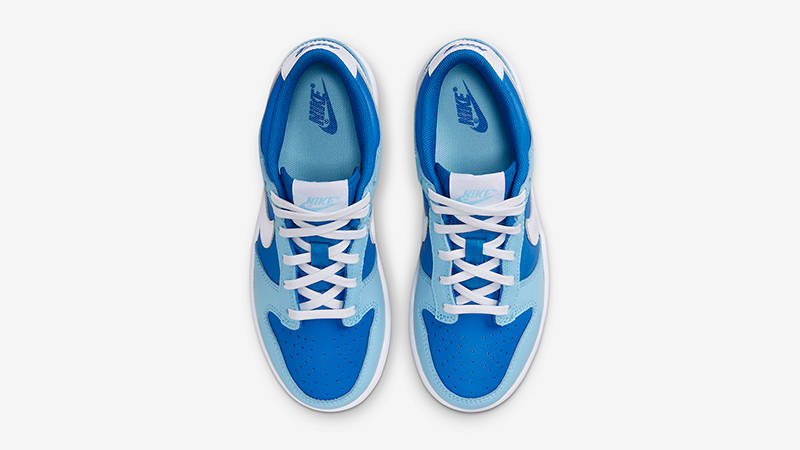 Nike Dunk Low PS Argon DV2635-400 Top