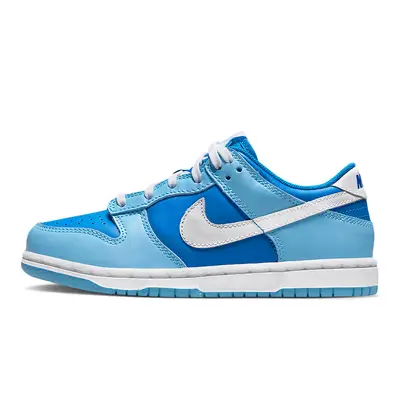 Nike Dunk Low PS Argon | Where To Buy | DV2635-400 | The Sole Supplier