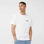 Dickies Roseburg Box T-Shirt White Feature