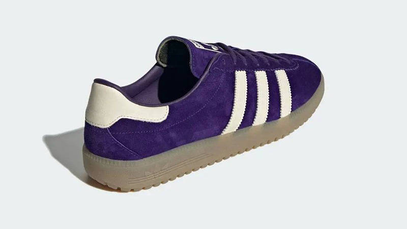 Adidas best sale bermuda purple