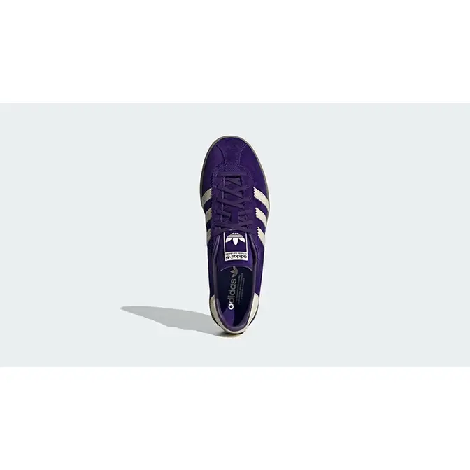 adidas Bermuda College Purple middle