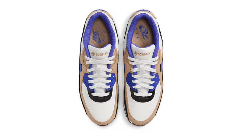 Nike Air Max 90 GORE-TEX Lapis FD5810-100 Top