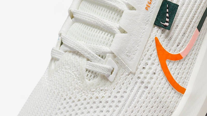 Nike Air Zoom Pegasus 40 All Petals United FN8919-191 Detail