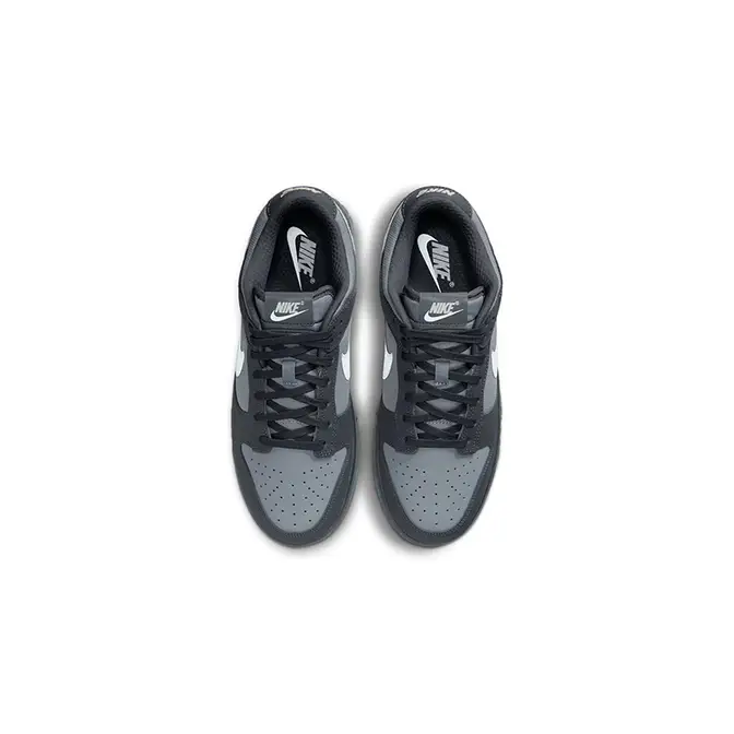 Nike Dunk Low Anthracite FV0384-001 Top