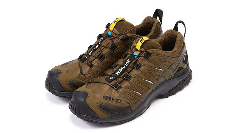 and wander x Salomon XA PRO 3D GORE-TEX Brown frontal view