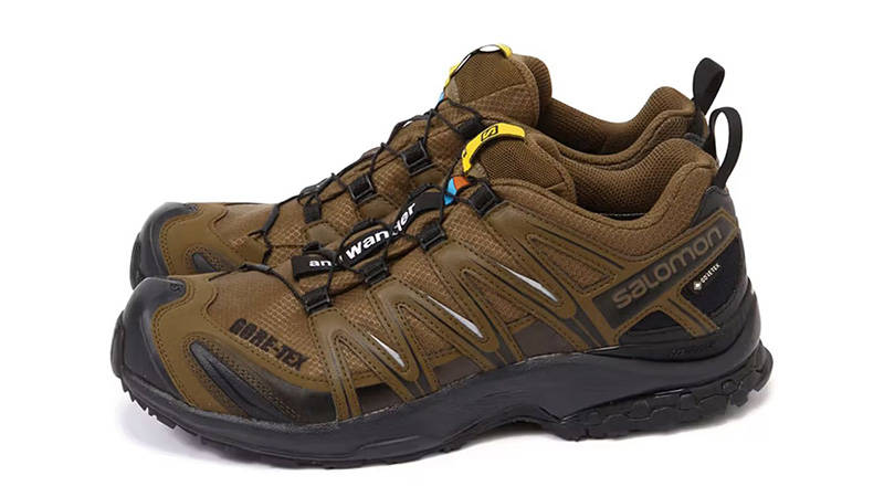 靴 salomon andwander XA PRO 3D GTX and wander x Salomon XA-Pro 3D GORE-TEX Brown | Where To Buy