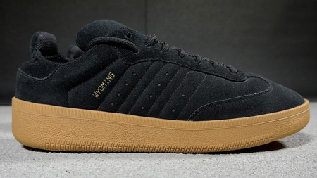 Images Surface of a Yeezy 150 Samba Sample