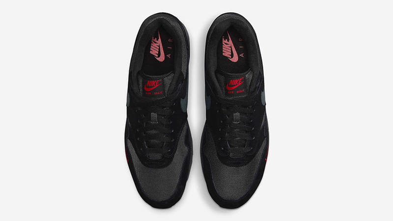 Am1 bred online