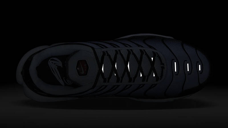 Nike Air Max Plus Swoosh! Pack Black Blue Tint DM0032-008 in dark