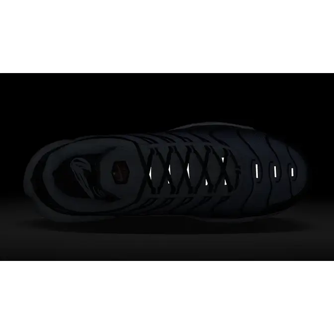 air max plus tn double swoosh