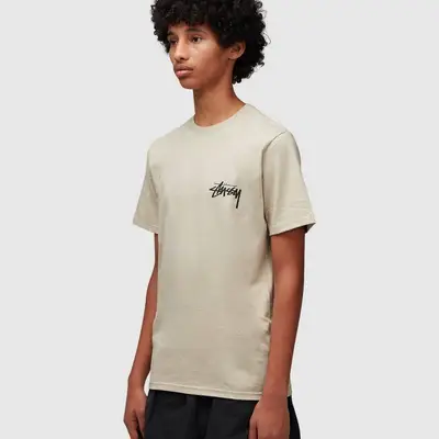 Stussy Classic Dot T-shirt Khaki Side View