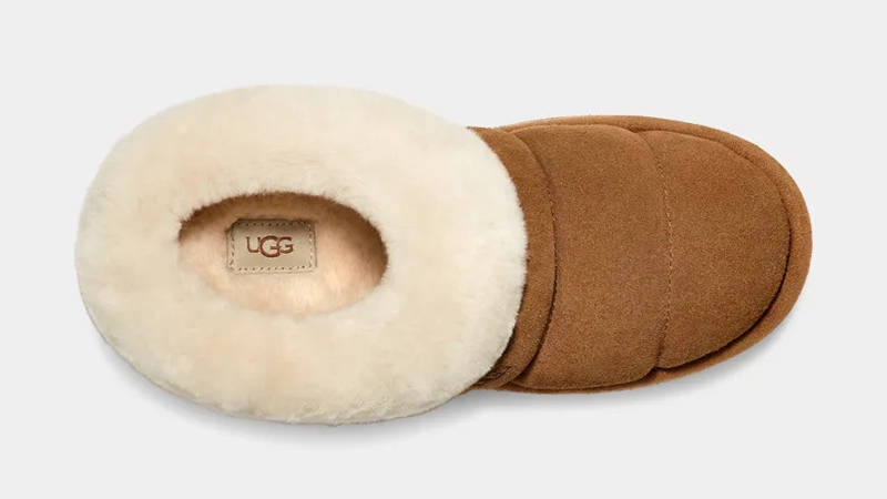 UGG Tazzlita Chestnut 1146390-CHE Top