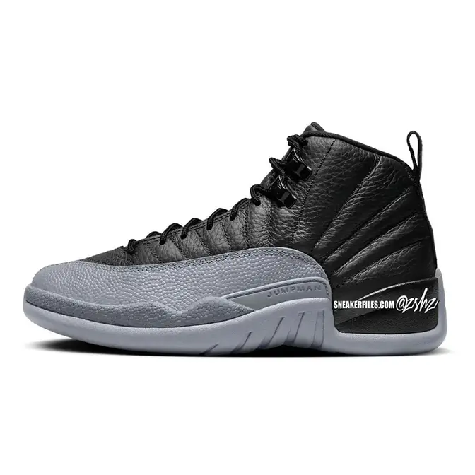 The new hot sale jordans 12