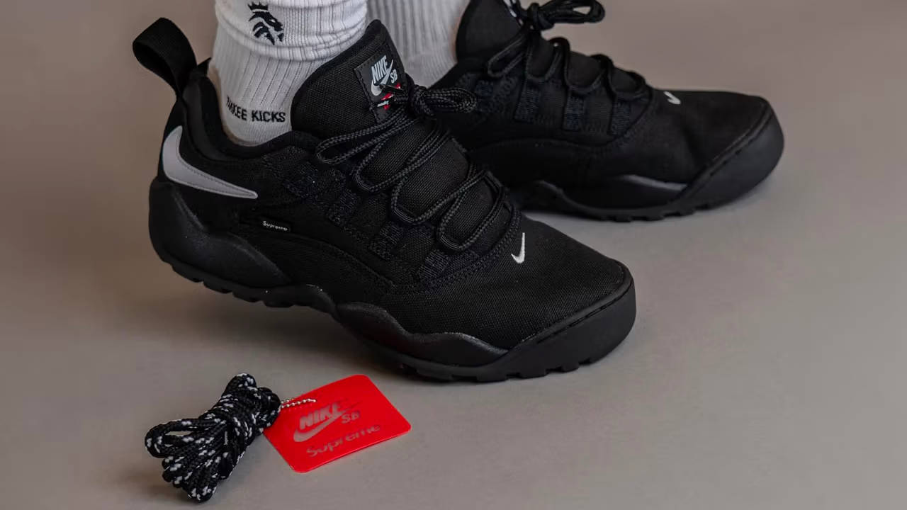 Supreme x Nike Come Together to Tackle the Air Darwin Low