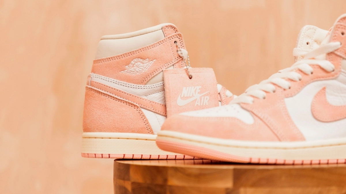 Air Jordan 1 The Sole Supplier