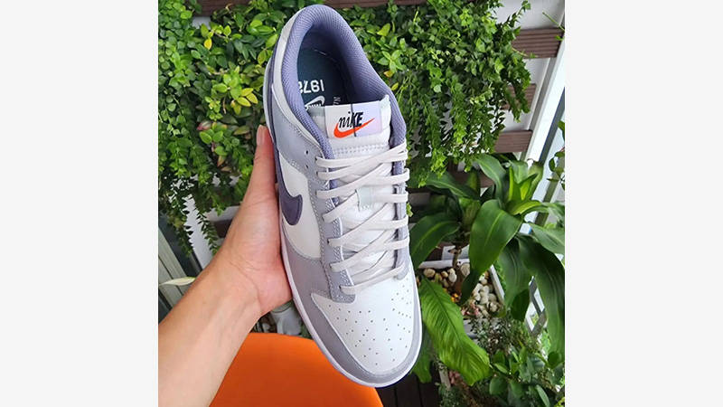 Nike Dunk Low Split Athletic Department White Grey Purple in hand