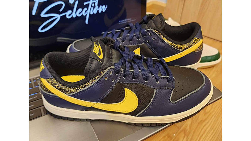 michigan dunks low on feet