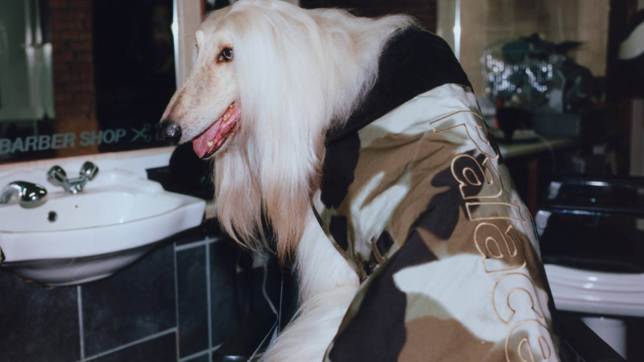 From Dogs to Dons: Barbour x Palace Has Us All Covered This Winter