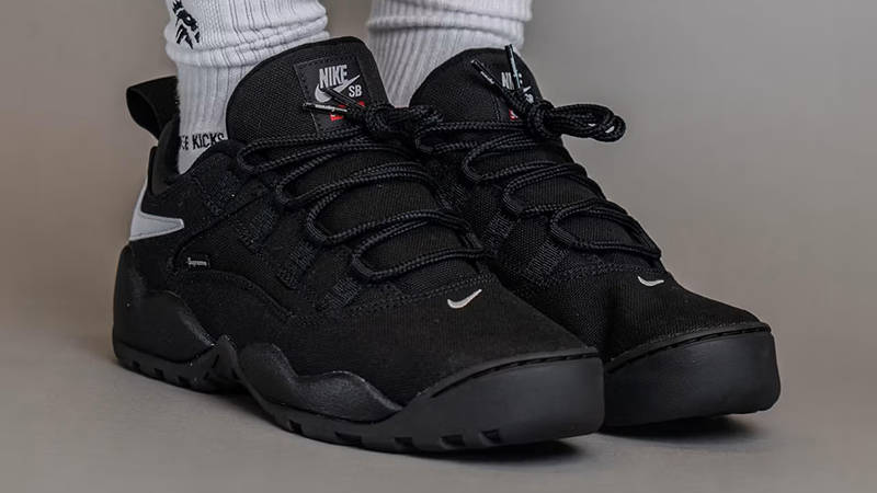 Supreme x Nike SB Air Darwin Low Black FQ3000-001 The Sole