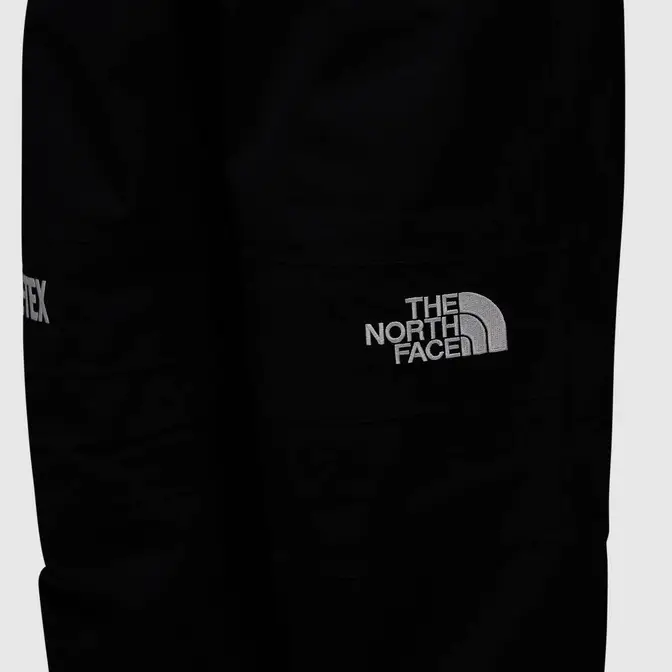 The North Face GoreTex Mountain Pants Where To Buy 4089921 The