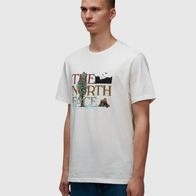 North face hot sale graphic tee