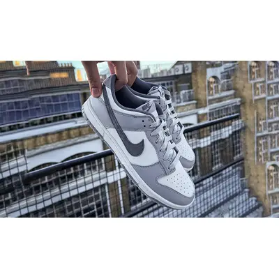 Nike Dunk Low Light Carbon | Where To Buy | FJ4188-100 | The Sole