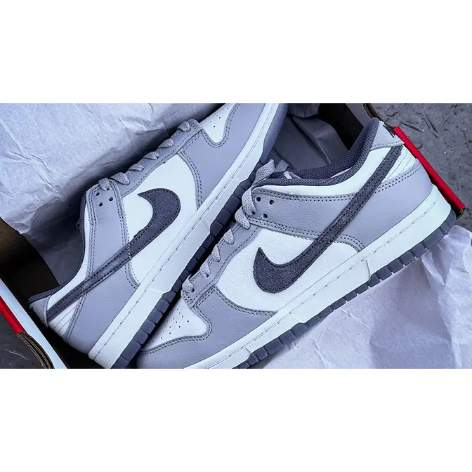 Nike Dunk Low Light Carbon | Where To Buy | FJ4188-100 | The Sole