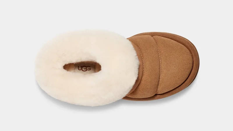 UGG Tazzlita GS Chestnut 1143803K-CHE Top