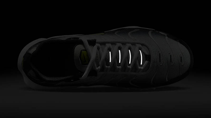 Nike TN Air Max Plus GS Black Bright Cactus CD0609-022 in dark