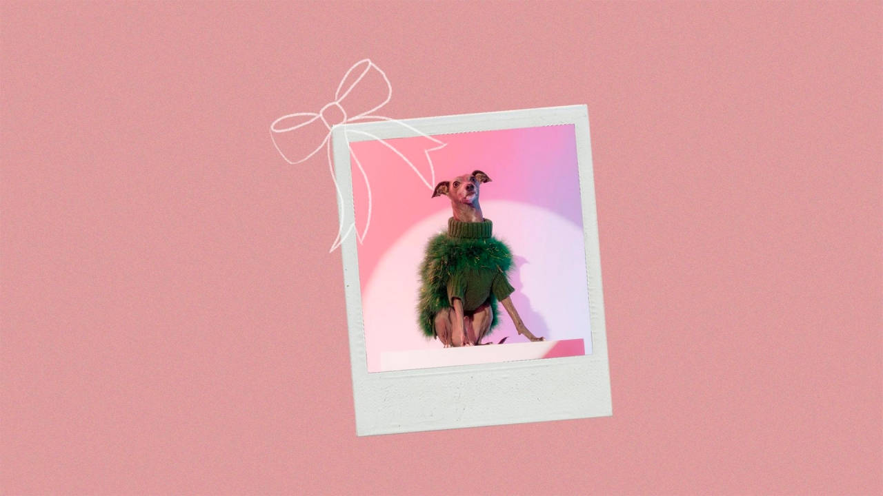 The Gift Guide Edit: Five Gift Ideas for Women #6